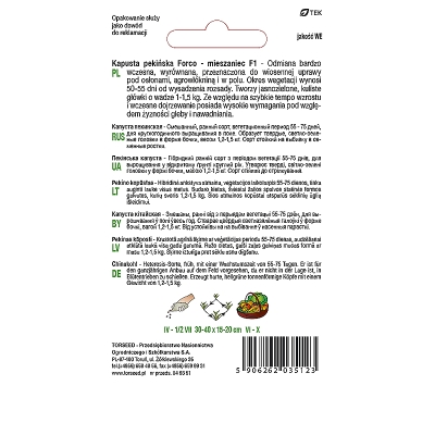 Kapusta pekińska Forco F1 WCZESNA Nasiona